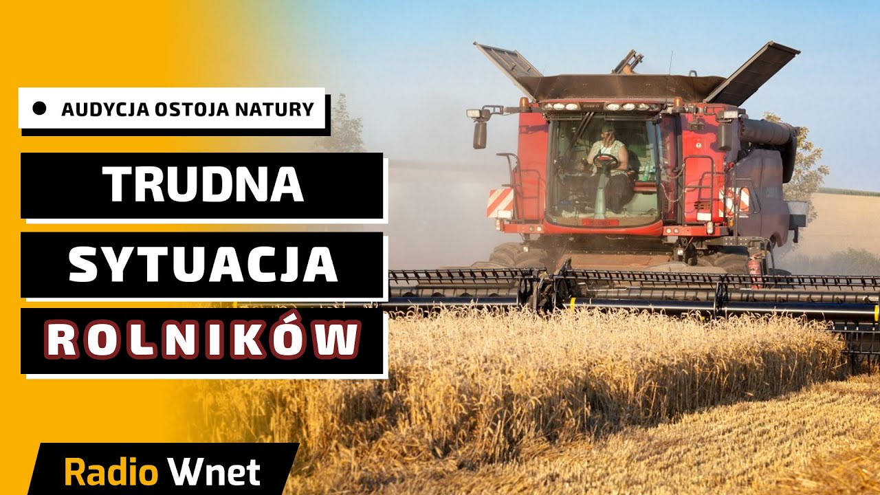Jak przetrwać w rolnictwie? O prawdziwej żywności, biurokracji i wolności rolnika - Studio Ostoja
