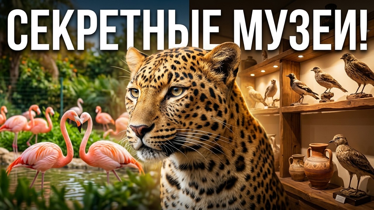 Зоопарк в Пафосе. Zoo in Paphos.