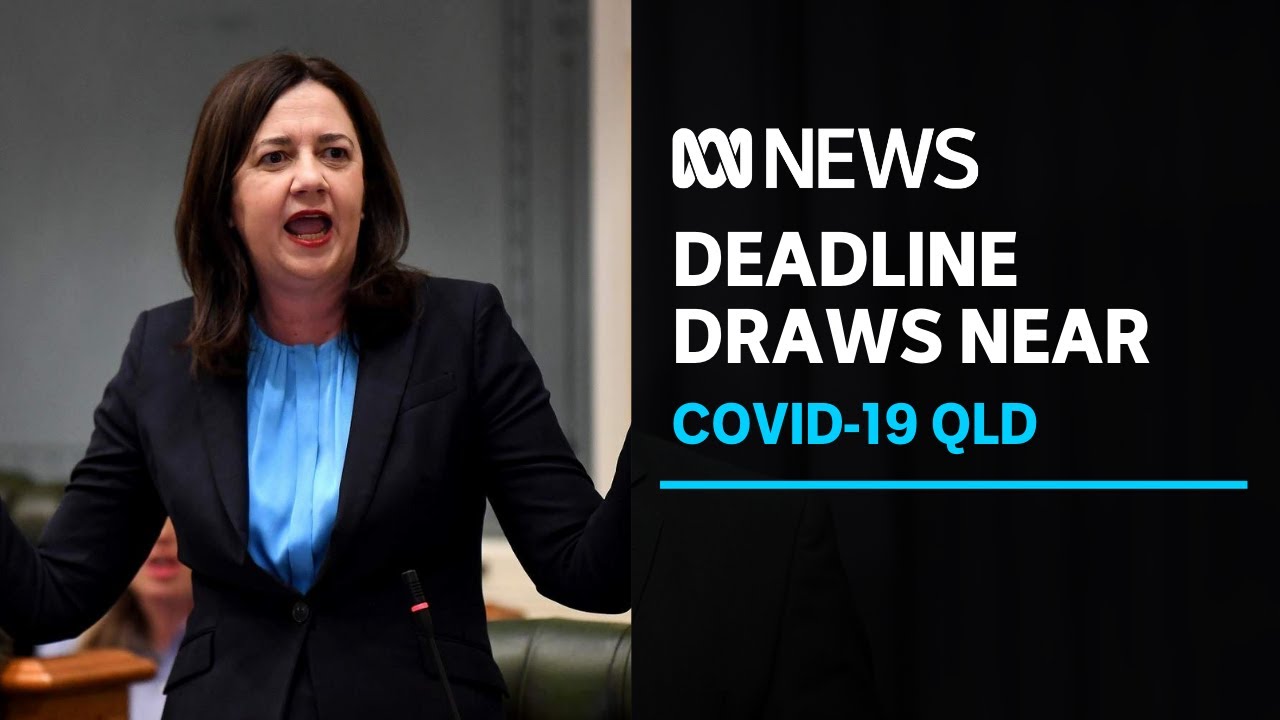 Qld border reopening is up in the air as NSW detects more coronavirus cases | ABC News