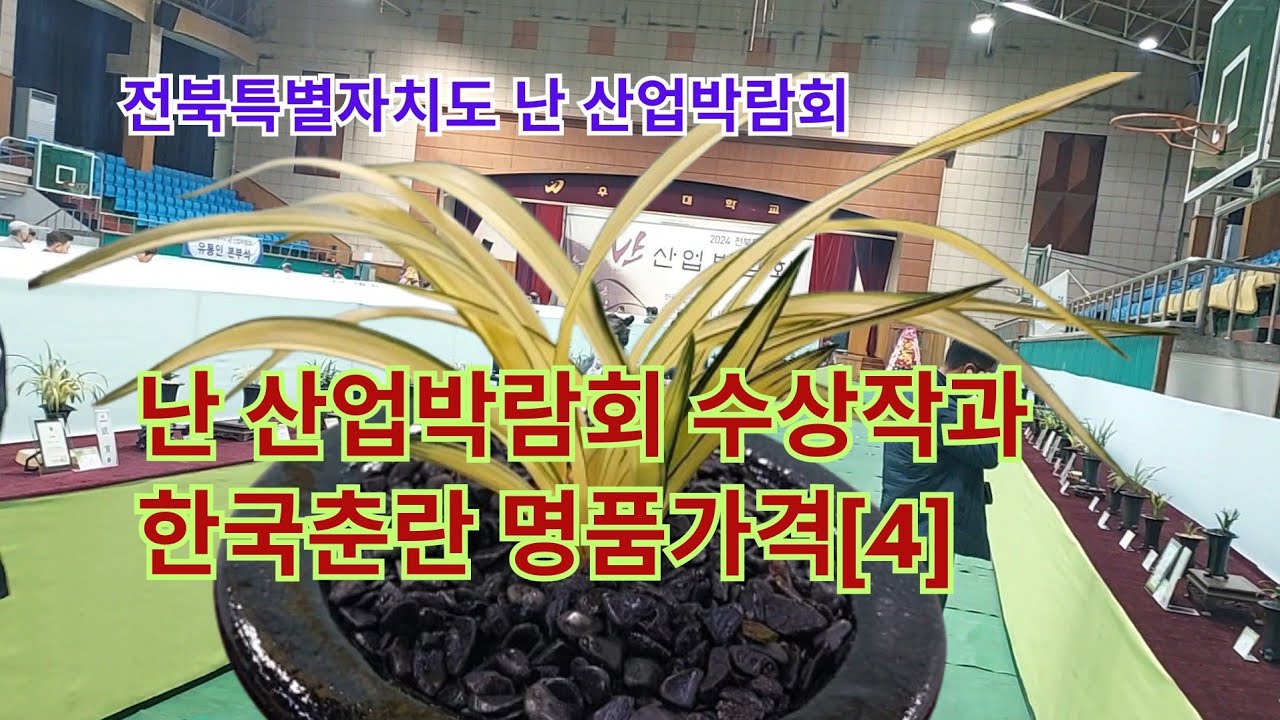 전북특별자치도 난 산업박람회 //한국춘란 명품가격[4]
