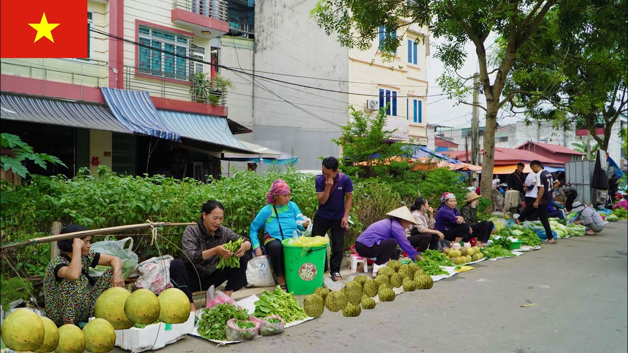 Hmong and Dao people sell many strange things in the mountains and forests at Poom Han market