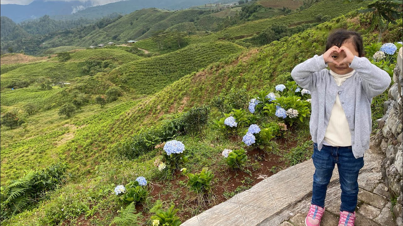 Destinasi Wisata Malino Highlands || Asyalika liburan