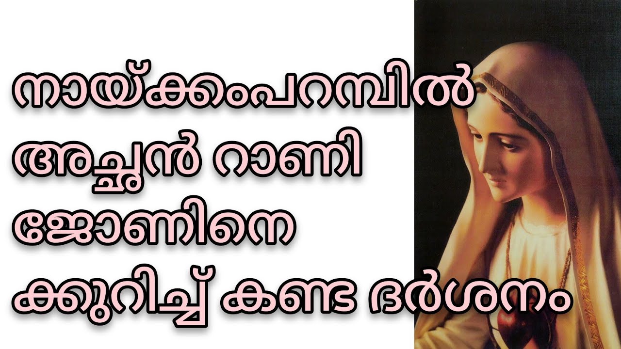 മാത്യു നായ്ക്കംപറമ്പിൽ അച്ഛൻ റാണി ജോണിനെ കുറിച്ച് കണ്ട ദർശനം