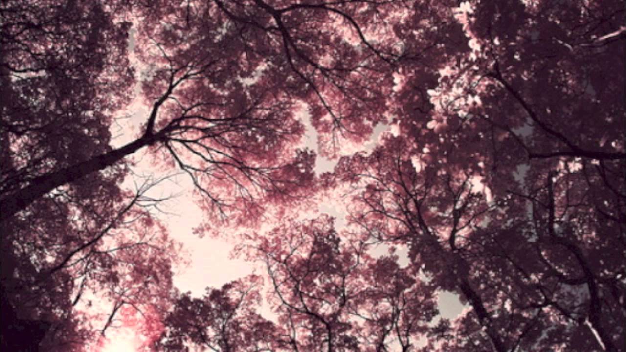 Evocativ - Lightspark (feat. Relay & Front)