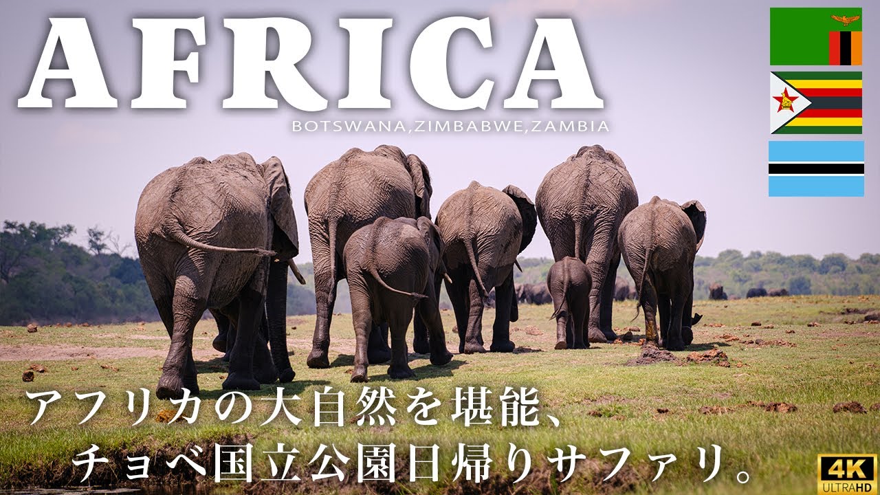 【アフリカの絶景】ボートサファリで野生動物と出会う旅、ビクトリアの滝｜ジンバブエ、ボツワナ、ザンビア