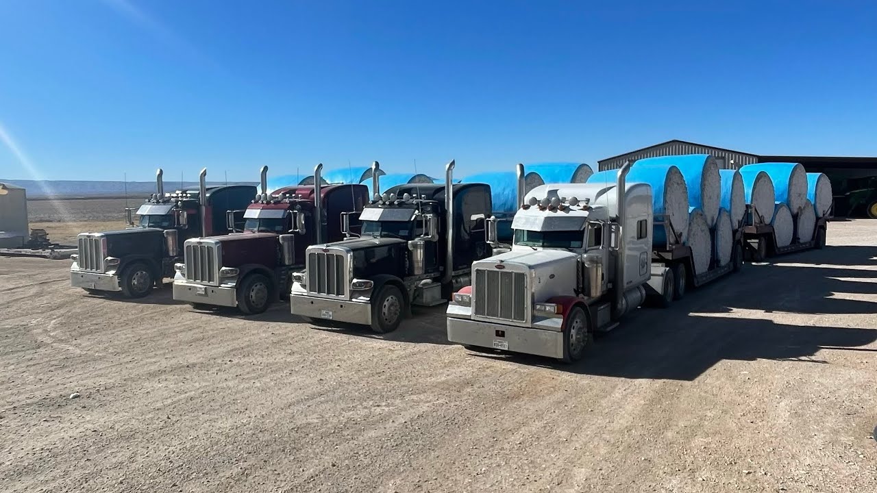 Hauling the Last 4 Loads of Cotton to the Gin