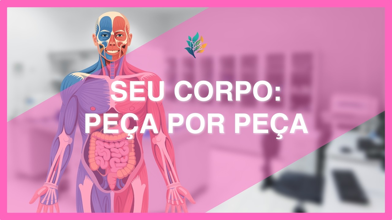 Os 6 níveis de organização do corpo humano (com questões resolvidas)