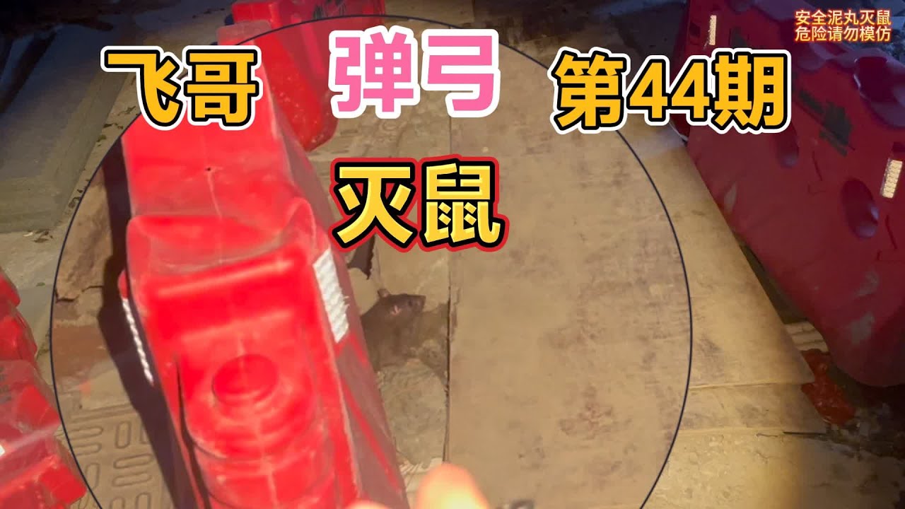 大姐睡觉被老鼠咬两次，飞哥收到灭鼠线报果断出手，一发一只爆头 #灭鼠 #游戏 #搞笑 #户外除四害 #养殖 #射击游戏