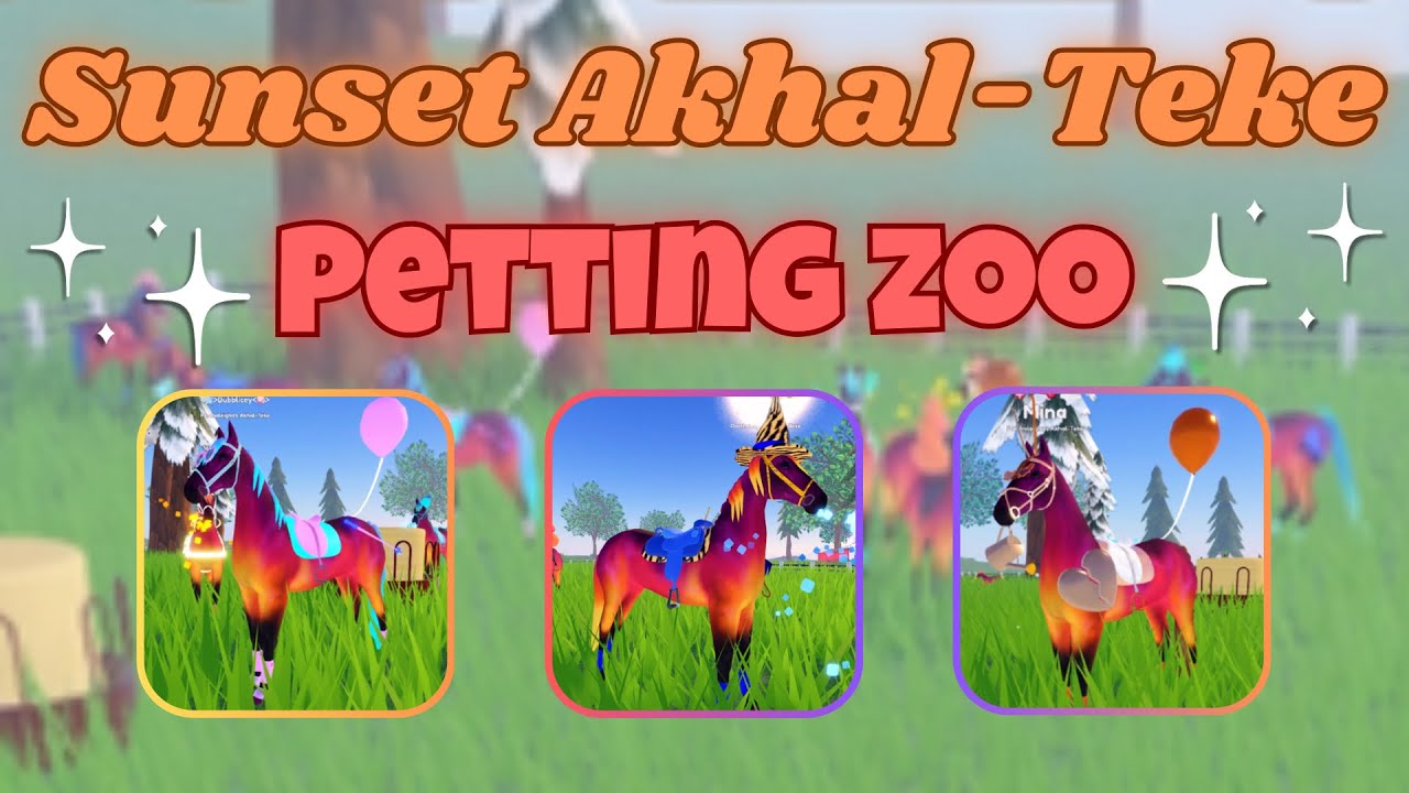 Visiting a *FIERY SUNSET AKHAL-TEKE* Petting Zoo! | Wild Horse Islands