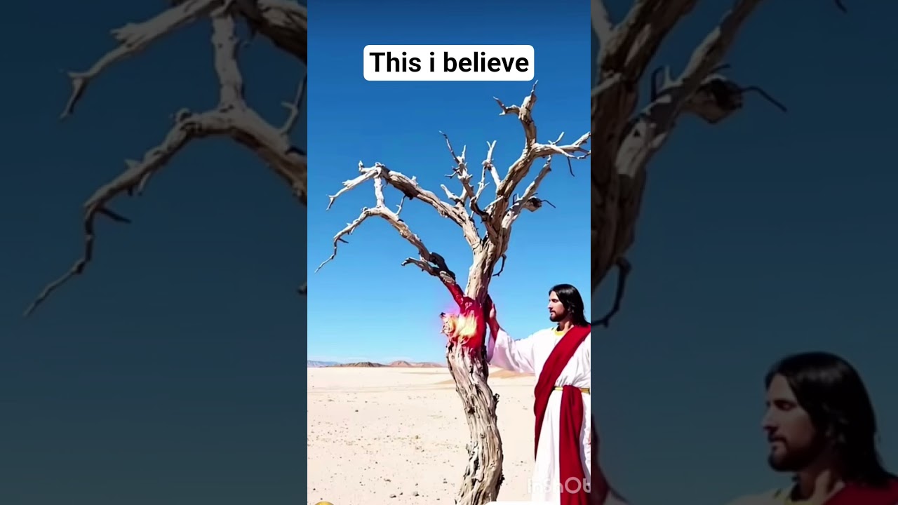 Jesus is comparing trees here to people.He said“We'll know them by their fruits.”People know whether