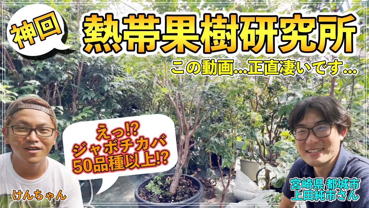 【神回】ジャボチカバ50品種!? イチジク100品種!? まじでやばい人に会いに行った【上田熱帯果樹研究所 上田純市さん】