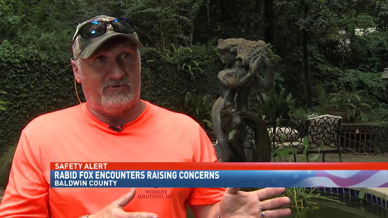 NBC 15 WPMI- Wildlife expert issues safety warning after new rabid fox sightings