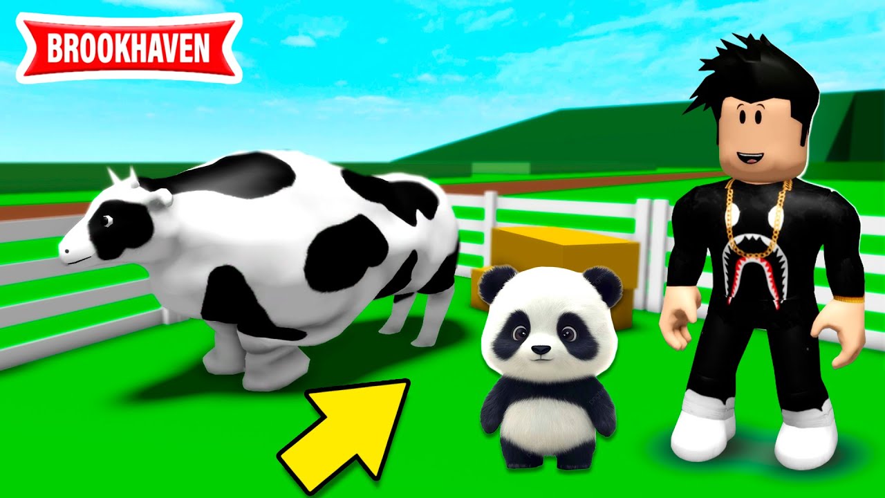 NOVO ZOOLÓGICO NO BROOKHAVEN🏡 - ROBLOX