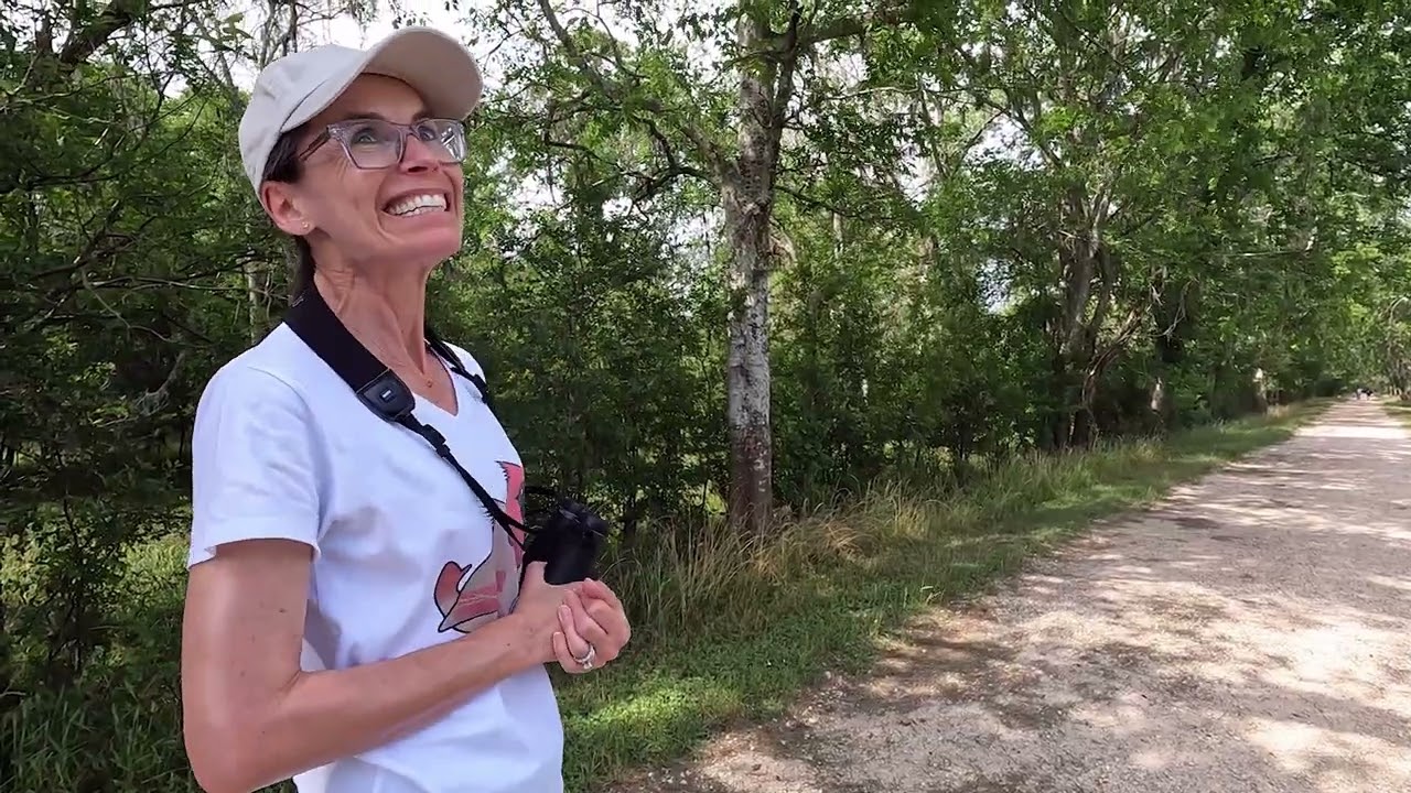 Time-Lapse of a walk around Brazos Bend State Park, Texas! May 2022