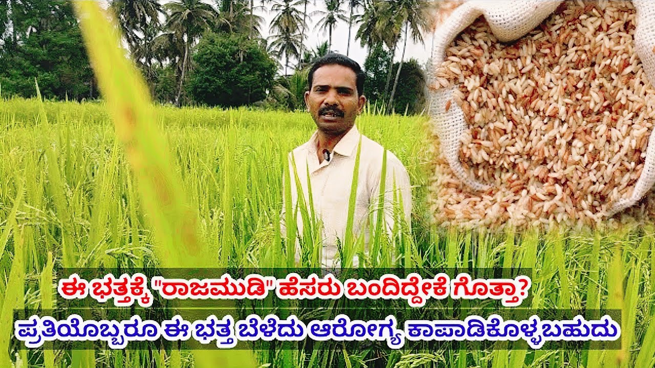 ಈ ಭತ್ತಕ್ಕೆ 