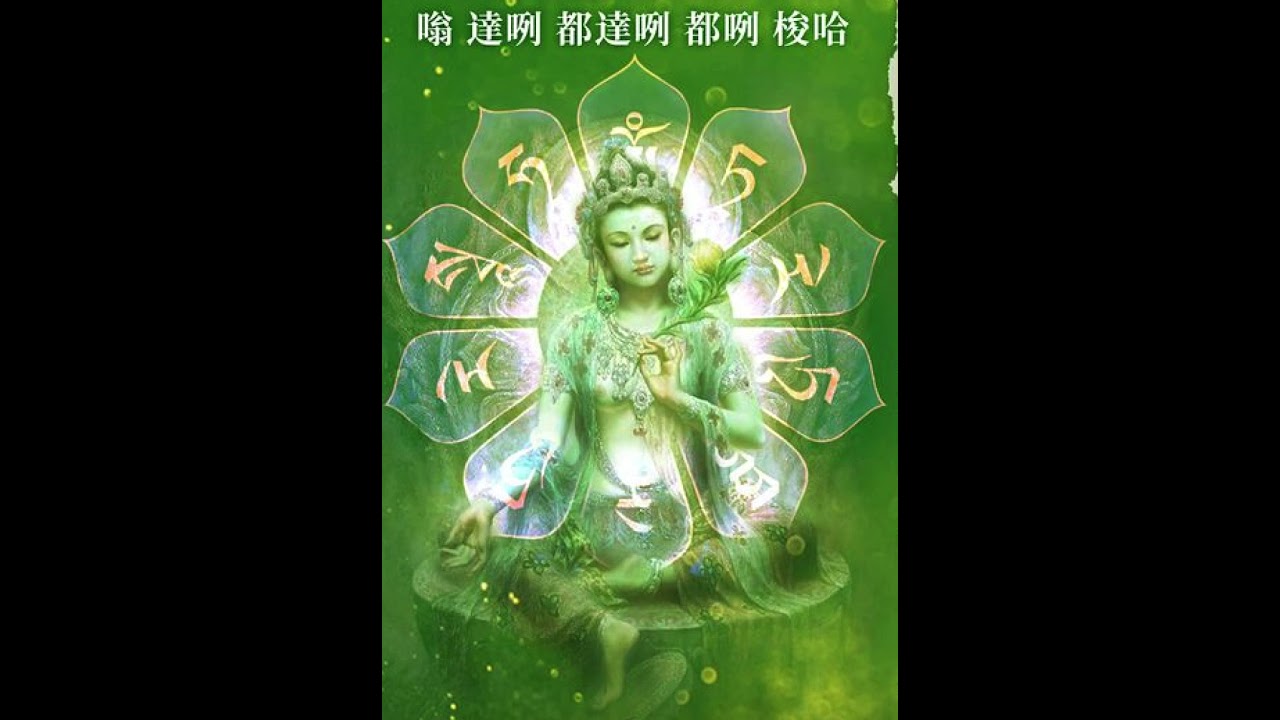 绿度母心咒1000遍 Green Tara Mantra 1000 Repetitions Oṃ Tāre Tuttāre Ture Svāhā 荷木恭敬唱诵 LotusTree
