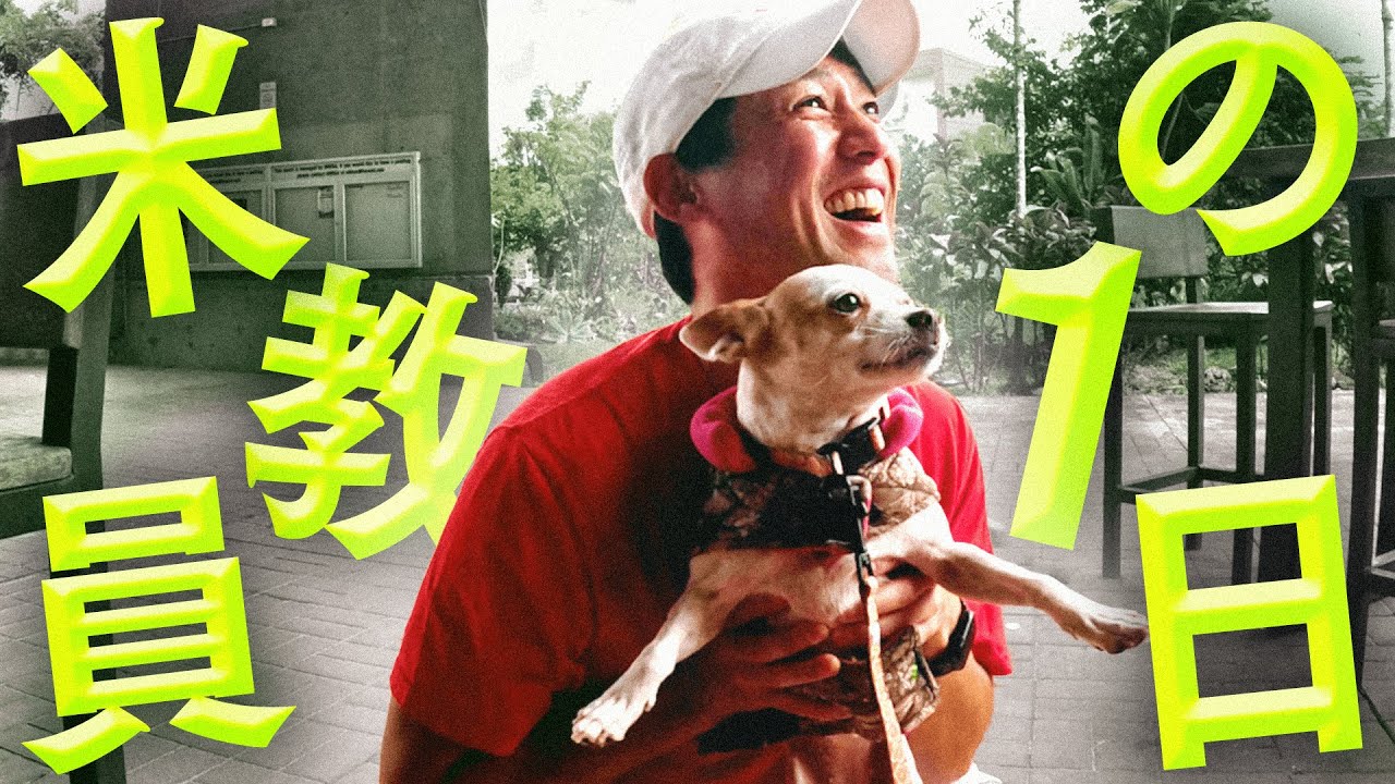 【大学教員Vlog】授業のある1日ってどんな感じ？リアルな日常をお届け！