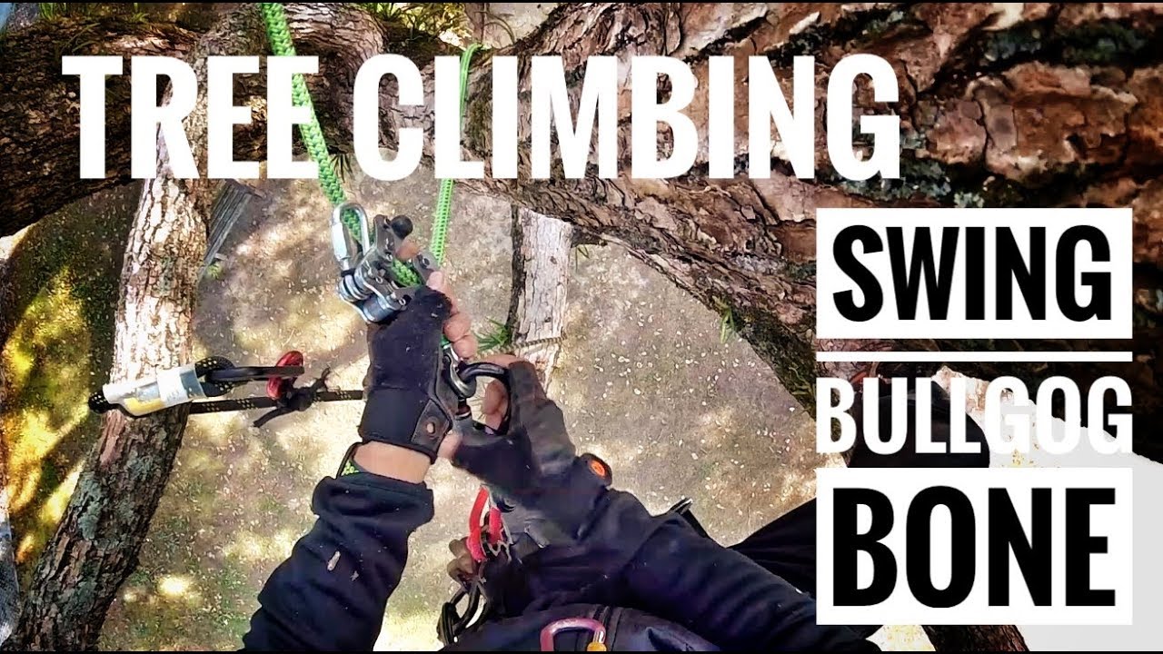 Happy Tree Climbing  / Swing /  Bulldogbone / Gopro /