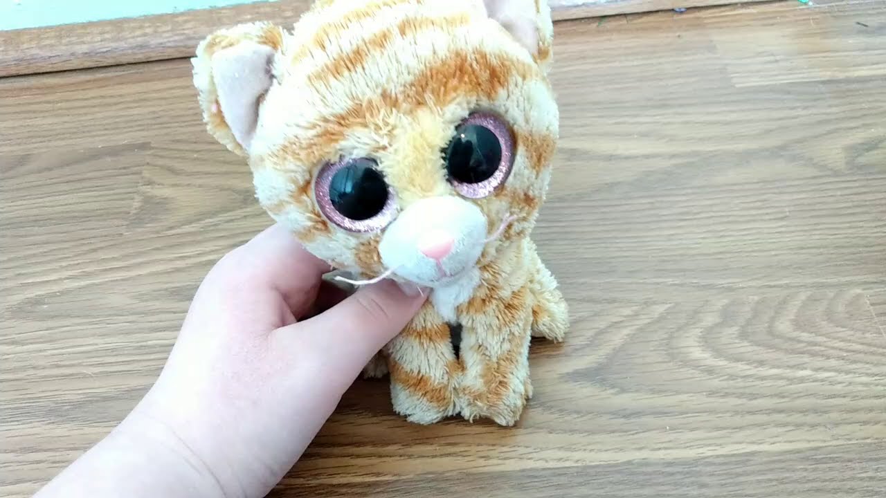 beanie boo music video:Fight song