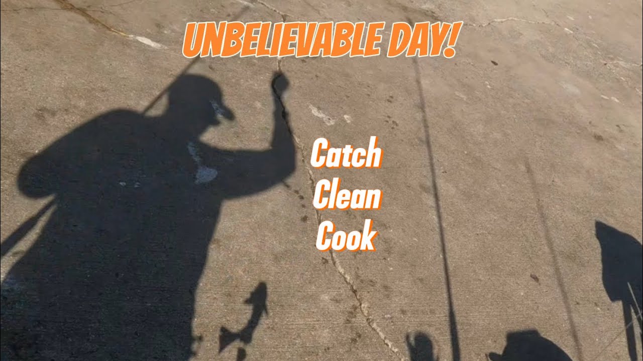 UNBELIEVABLE DAY! #viral #fishing #fish #fishingvideo #jettyfishing #fyp #fypシ #thankyou #youtube 