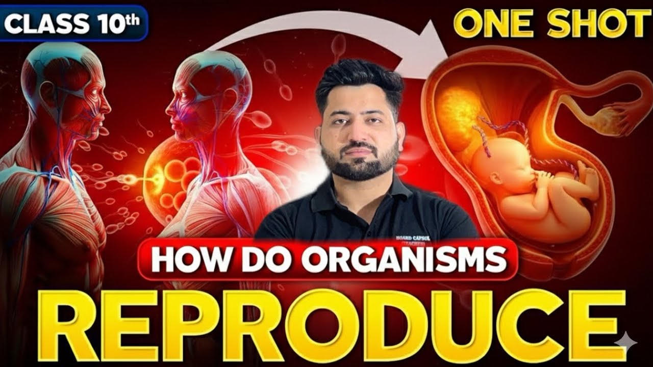 RBSE | NCERT | How do organism reproduce | Important for board exam | class :- 10th 