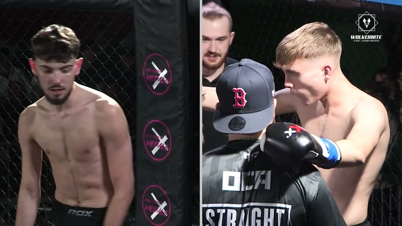 Эдвард Медлок против Оливера Катлера | Wolkernite Fight Championship 10 | Любительский бокс