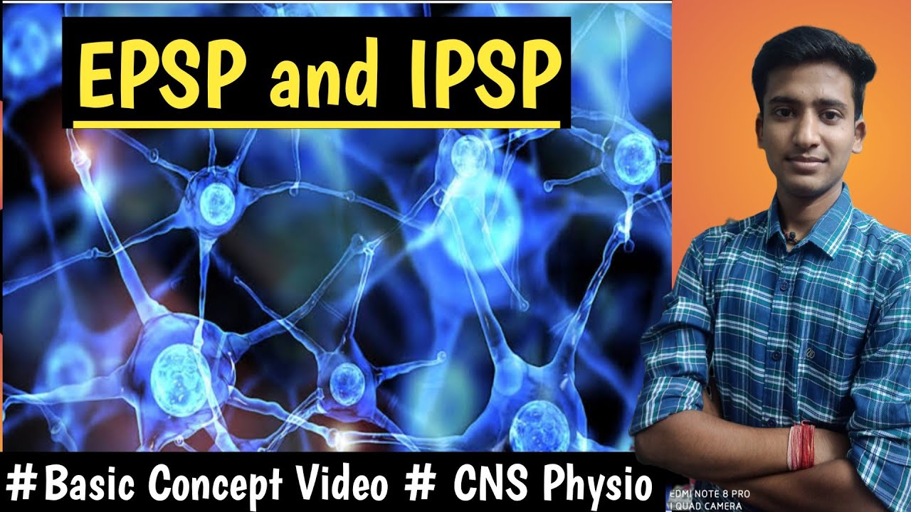 EPSP и IPSP || Физиотерапия ЦНС ||Лекции||MBBS ||хинди|| Ашиш