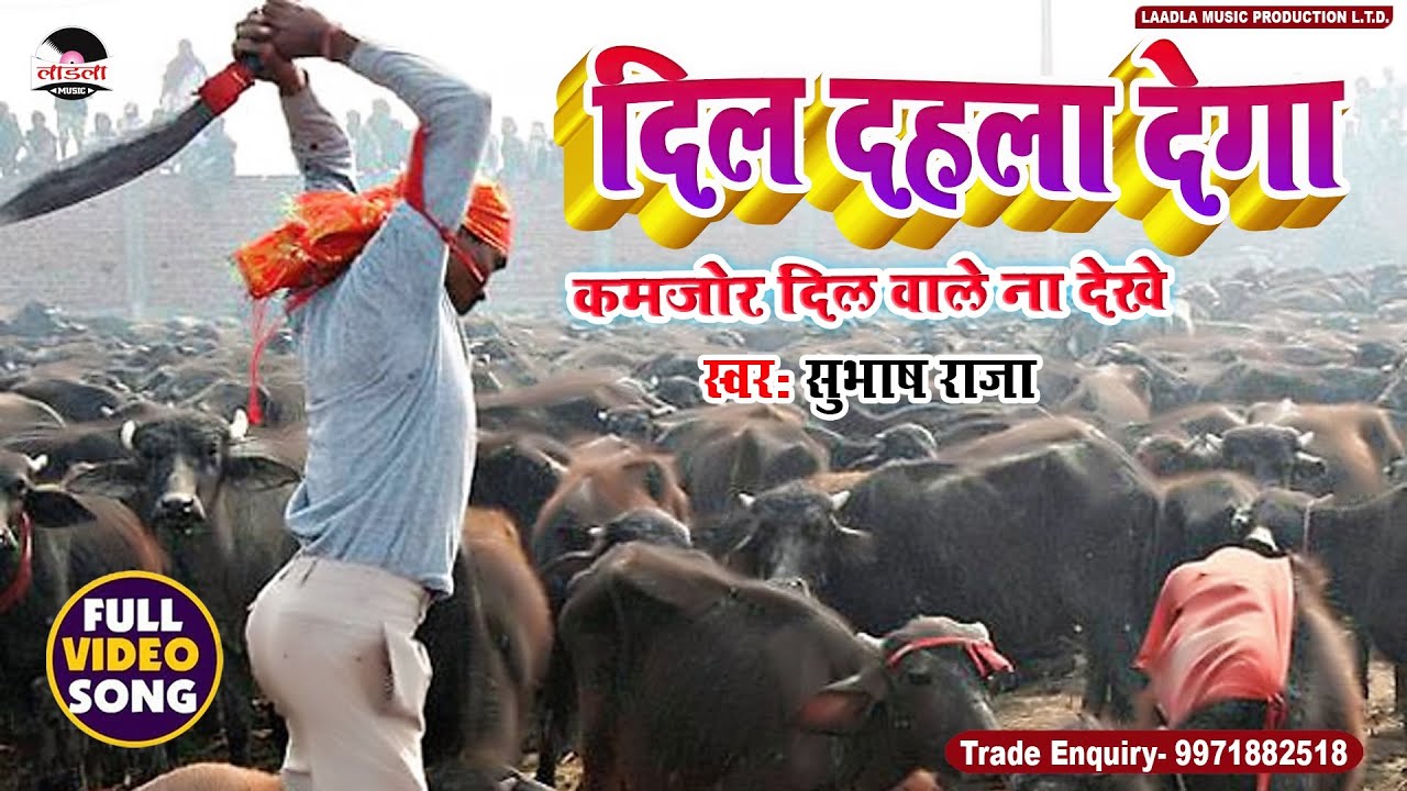 #Subhash_Raja - 2019 का सबसे हिट वीडियो -दिल दहला देगा कमजोर दिल वाले ना देखे  - #Laadla_Music