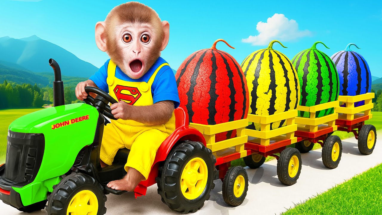 Mono BaBa Explora la M&aacute;quina Expendedora de Dulces con el Perrito Peludo! | MONO BABA ESP