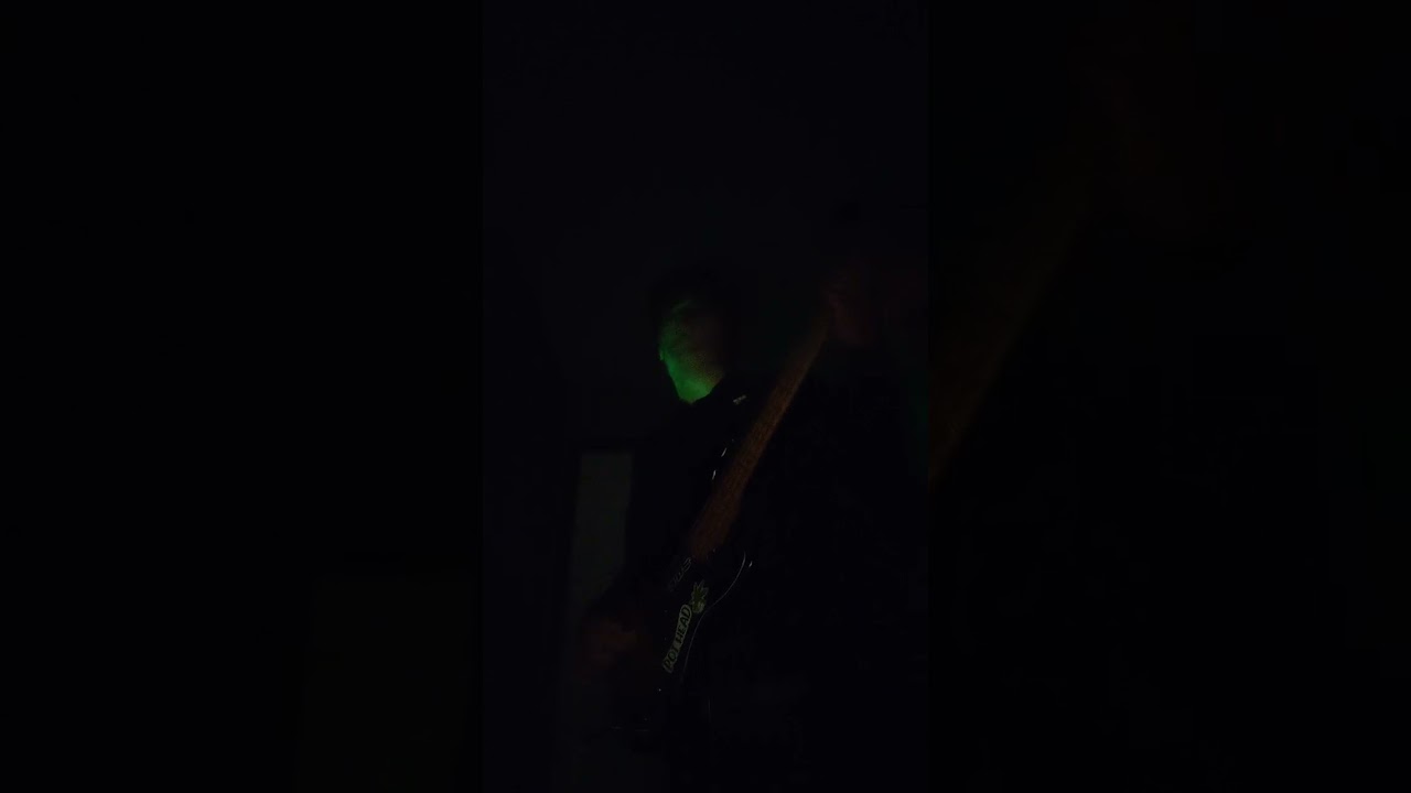 Rooster Alice in chains (bass cover)
