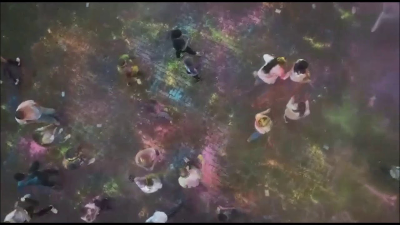 Holi Colors