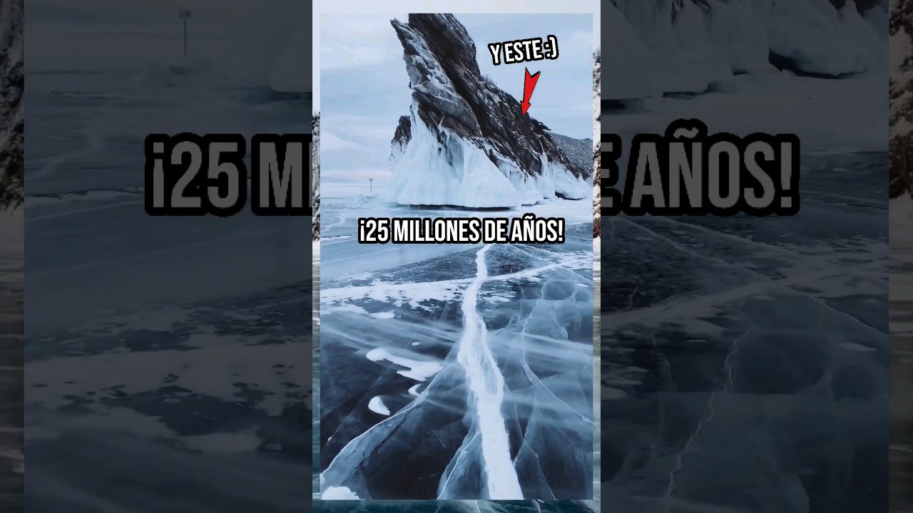 datos que te dejar&aacute;n con la boca abierta  ⏱️🦘🌊#datoscuriosos #curiosidades #shorts