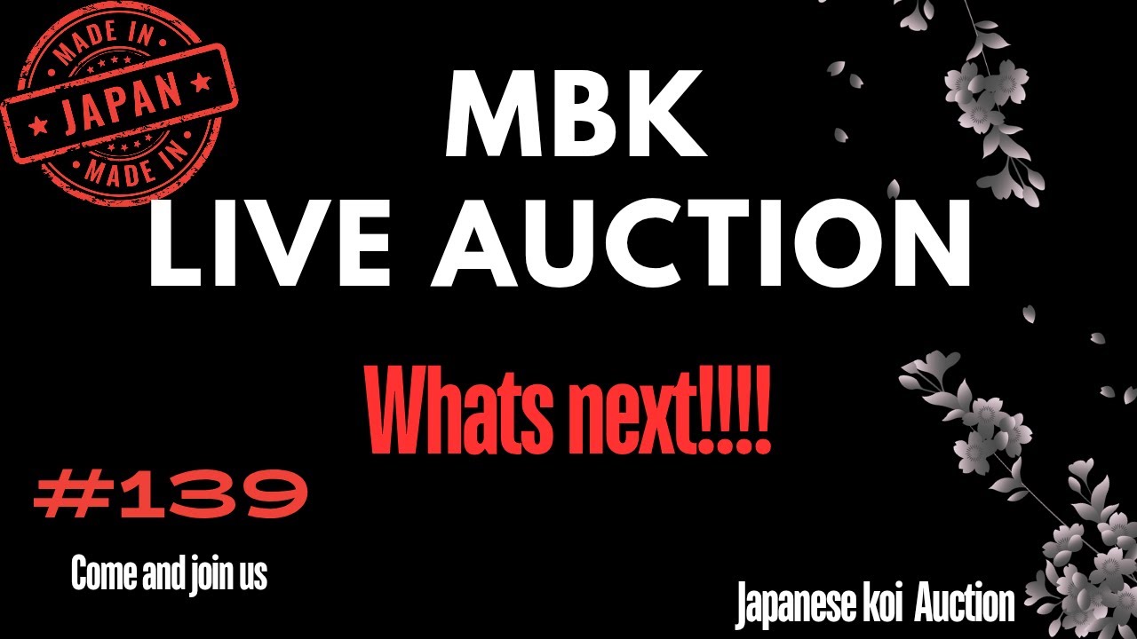 Live Japanese Koi auction #139