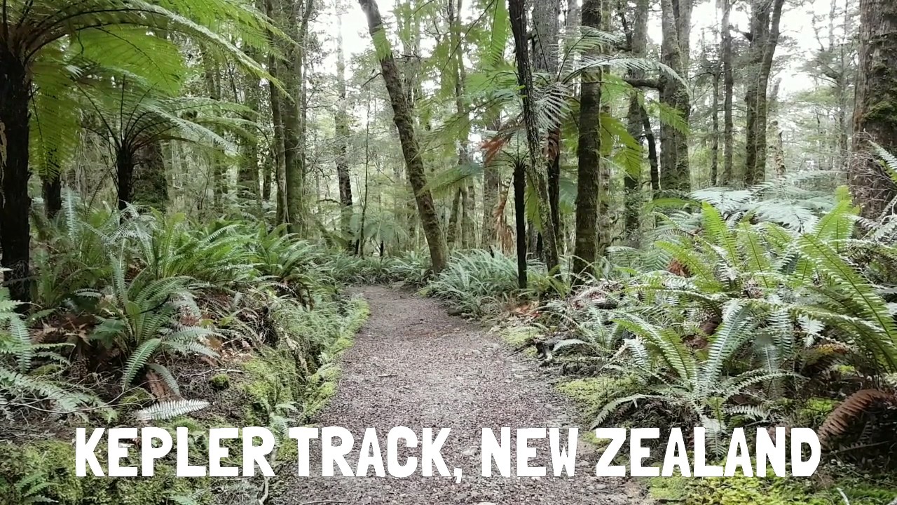 Easyhike Great Walks