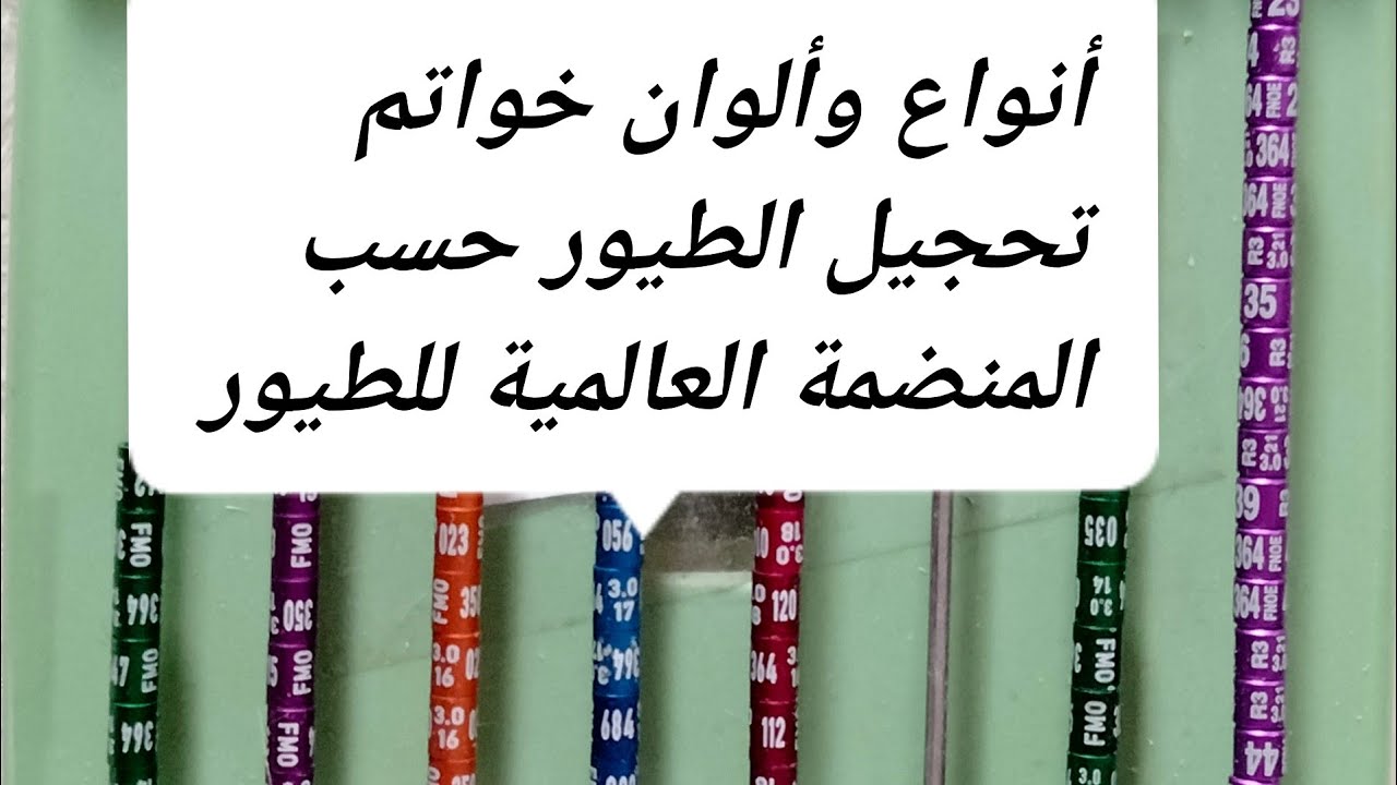 أنواع وألوان خواتم التحجيل.الهدف من وضعها ومتى يمكن إزالتها وكيف يتم ذلك