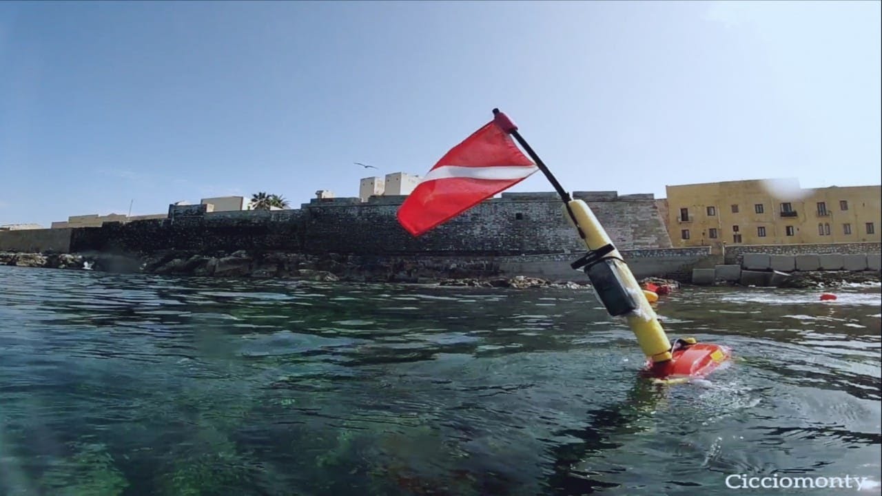 Pescasub: Aquascooter è fucile corto! L'importante è aver messo la testa sott'acqua.