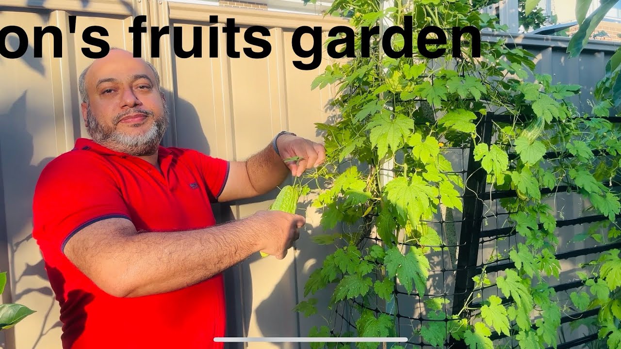 Emon এর fruits garden এ আমরা 2026। sydneylife Australia video 60