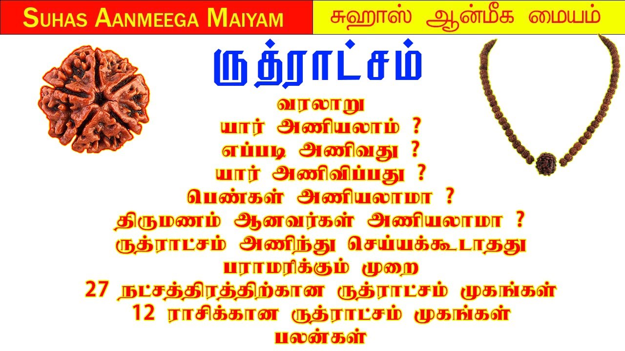 ருத்ராட்சம்|யார்அணியலாம்?|27 நட்சத்திரம்&12 ராசிக்கான ருத்ராட்சம் முகங்கள் #rudraksham #ருத்ராட்சம்