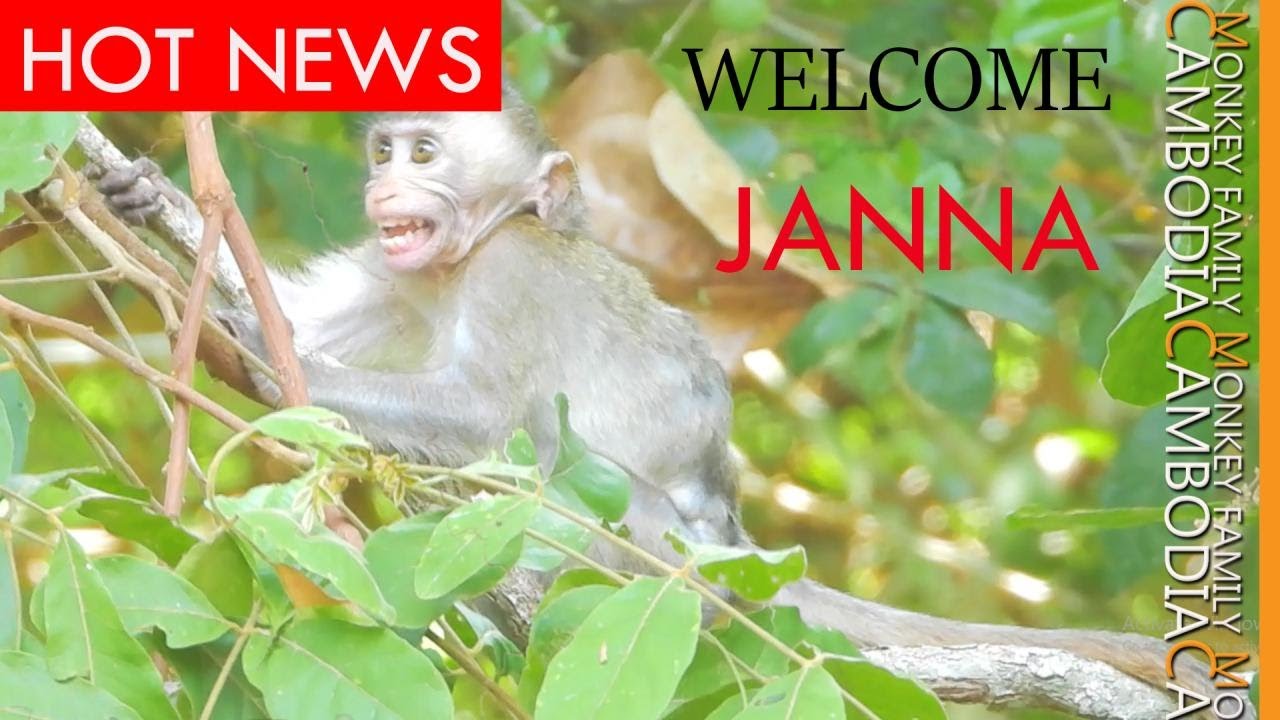 Welcome Home...Janna Reunion With Her Mother , But  Jane Not Recognize Her.