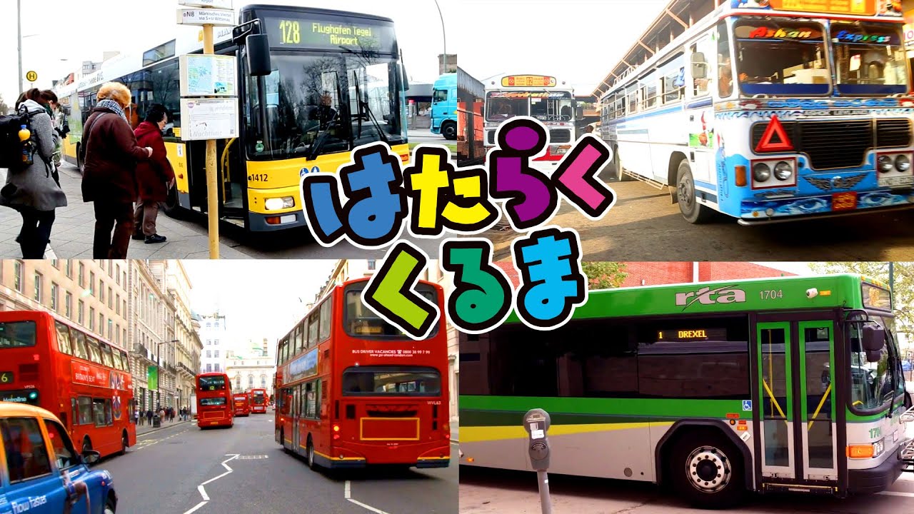 はたらくくるま | 世界のバスいろいろ | 教育動画アニメ | kids | bus | 子供向け乗り物動画 | education