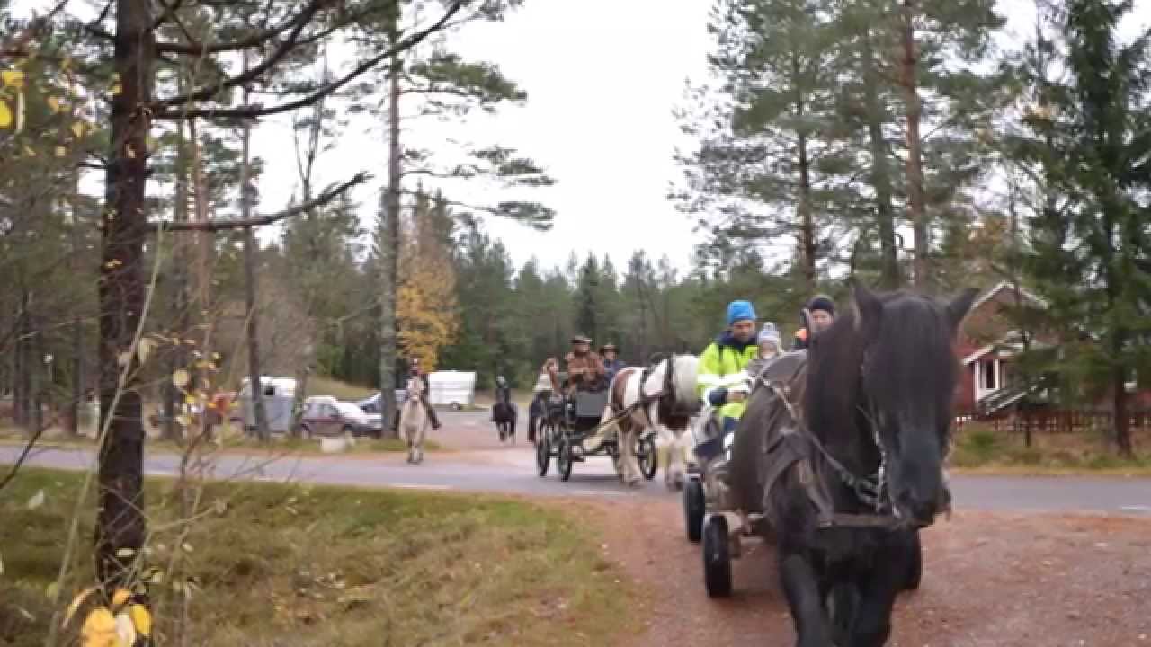 Kronobergskuskarnas aktiviteter 2014