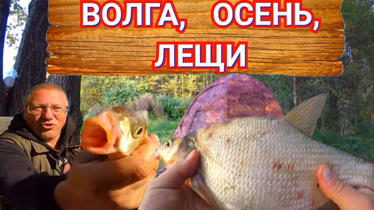 Рыбалка с Ночевками Осенью на Волге/Разведка Новых и Старых Мест