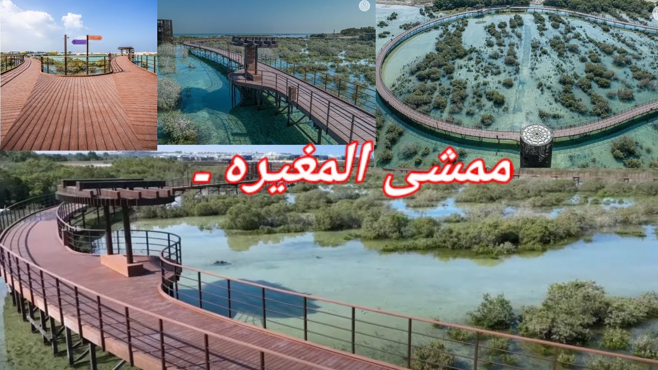 Mamsha Al Mugheirah Al Mugheirah Bay Part 2 | Al Dhafra Region | Sk's Tasty Dishes