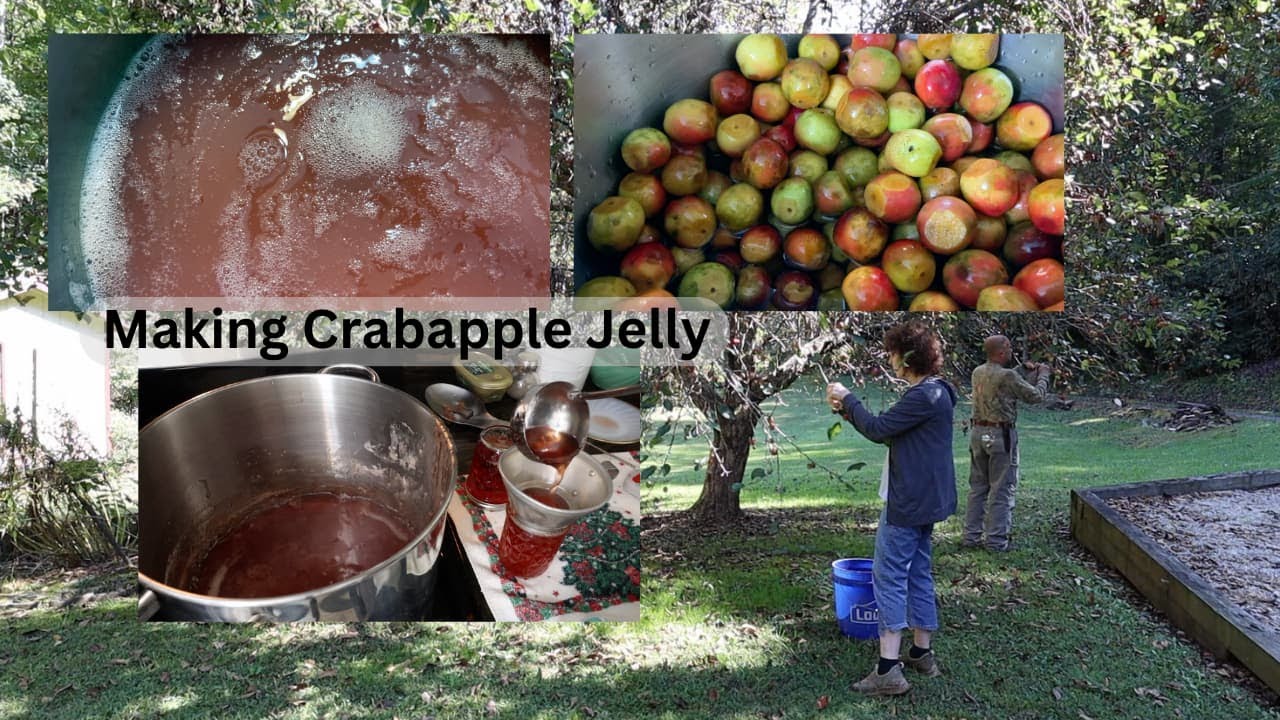 Making Crabapple Jelly the Old Time Way