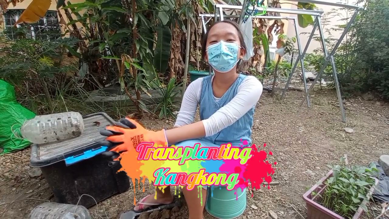 KANGKONG VEGGIE WASTE MANAGEMENT 2.