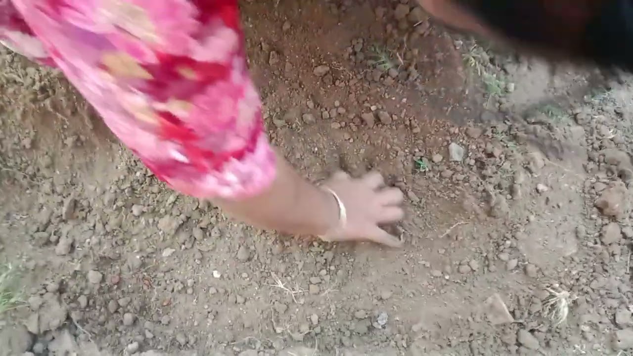 આજ સવાર નું અમારુ નવું કામ.