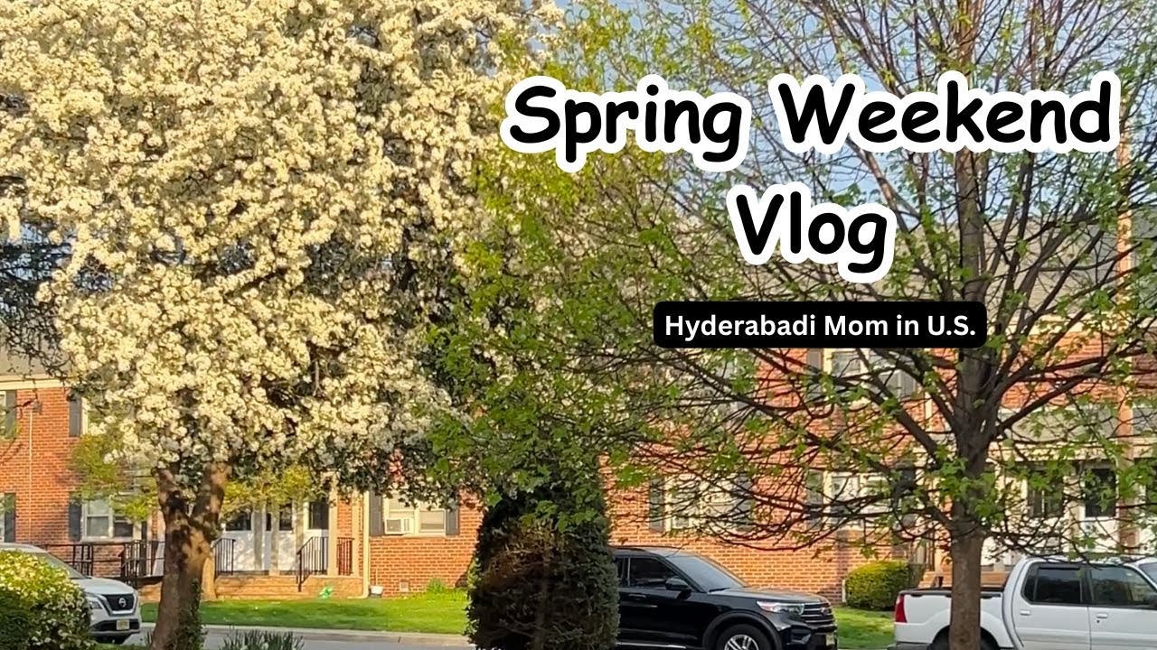 Vlog: Allergy Season, Costco Stop & Easy Dinner | Hyderabadi Mom in U.S.