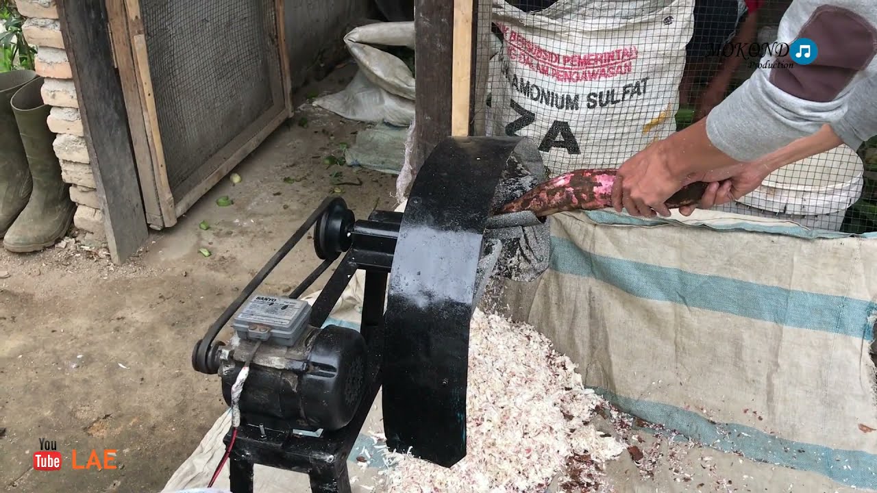 Alat pemarut Pakan ternak || pemarut singkong - Ubi || Mesin Pemarut