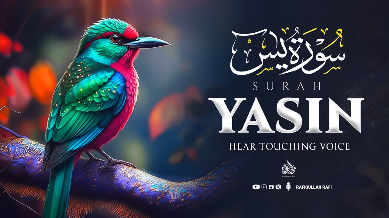 Surah Yaseen | Ultimate Quran for Anxiety Relief & Spiritual Healing #surahyasinfull