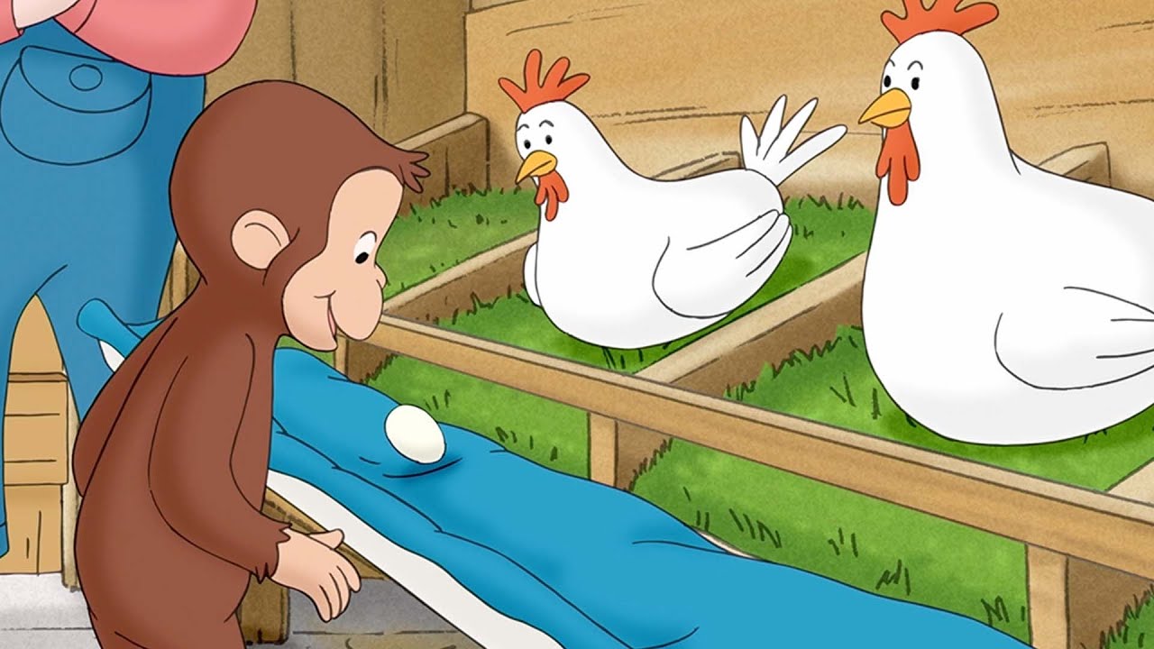 George e as Galinhas 🐵 George, o Curioso 🐵 Desenhos Animados